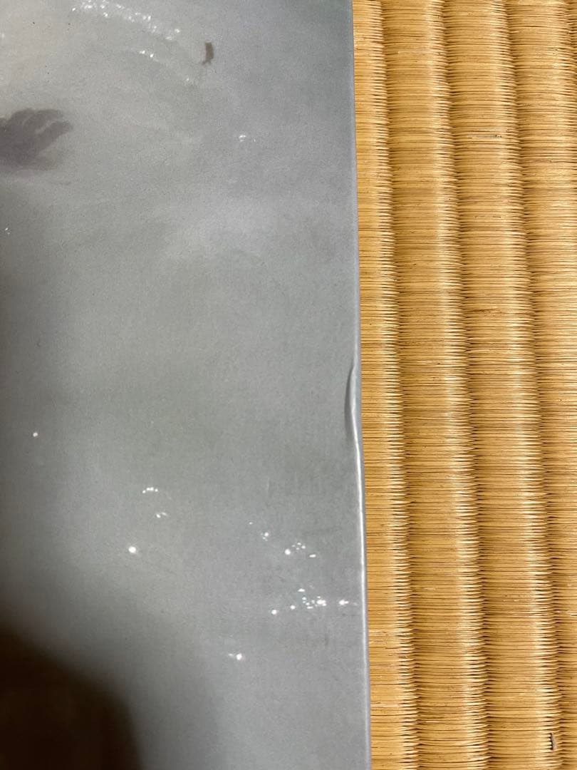 Viviane Sassen \"PARASOMNIA\" 初版