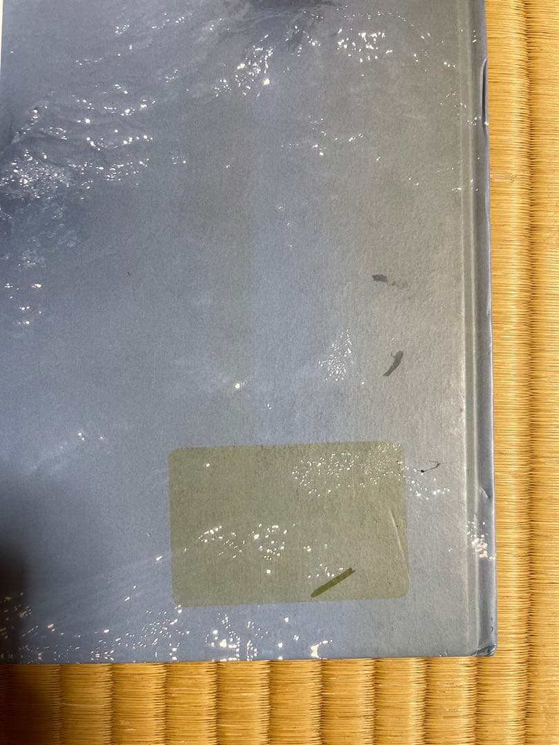 Viviane Sassen \"PARASOMNIA\" 初版