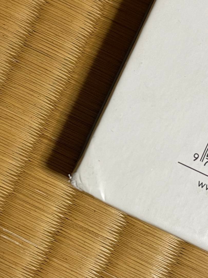 Viviane Sassen \"PARASOMNIA\" 初版