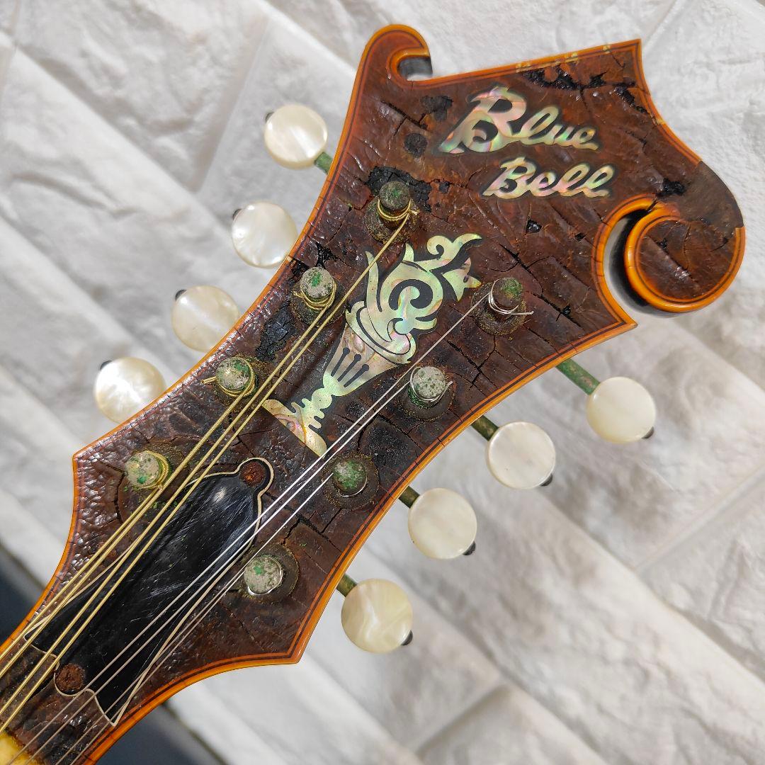 BLUE BELL F-10 マンドリン ブルーベル - メルカリ