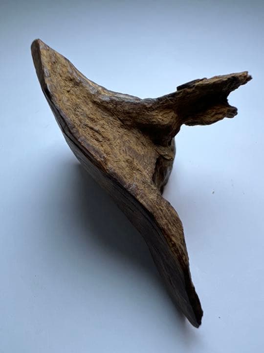 古渡命銘木 名香　真那賀　銘【露草】4.508g カサニア香木/お香/沈香/伽羅