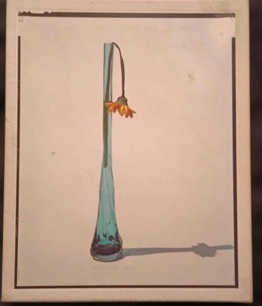 上田義彦写真集「Flowers」 伊藤俊治 光琳社 1997年初版 上田義彦写真集「Flowers」 伊藤俊治 光琳社 1997年初版 上田義彦写真