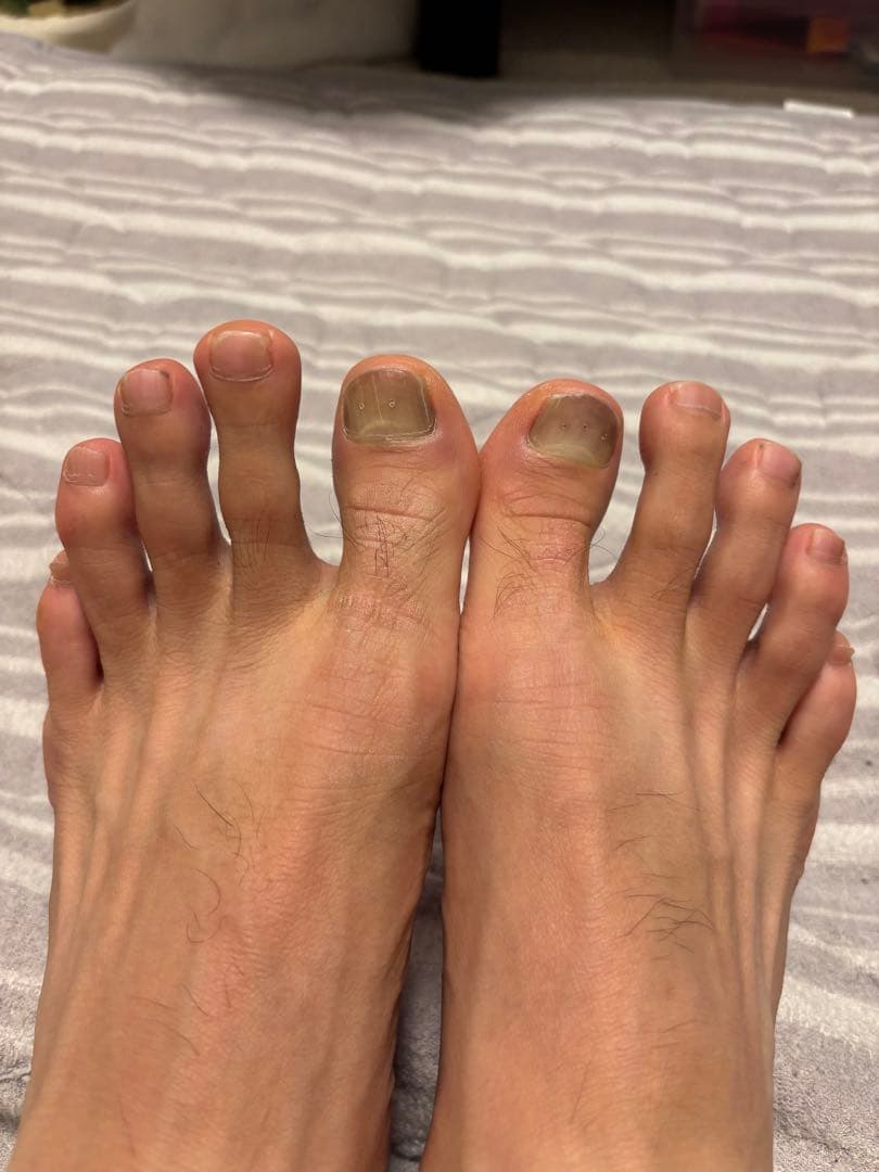 アディオスプロ4 26.5cm