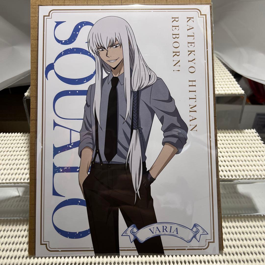 家庭教師ヒットマンREBORN! The cat A5ポストカード スクアーロ②