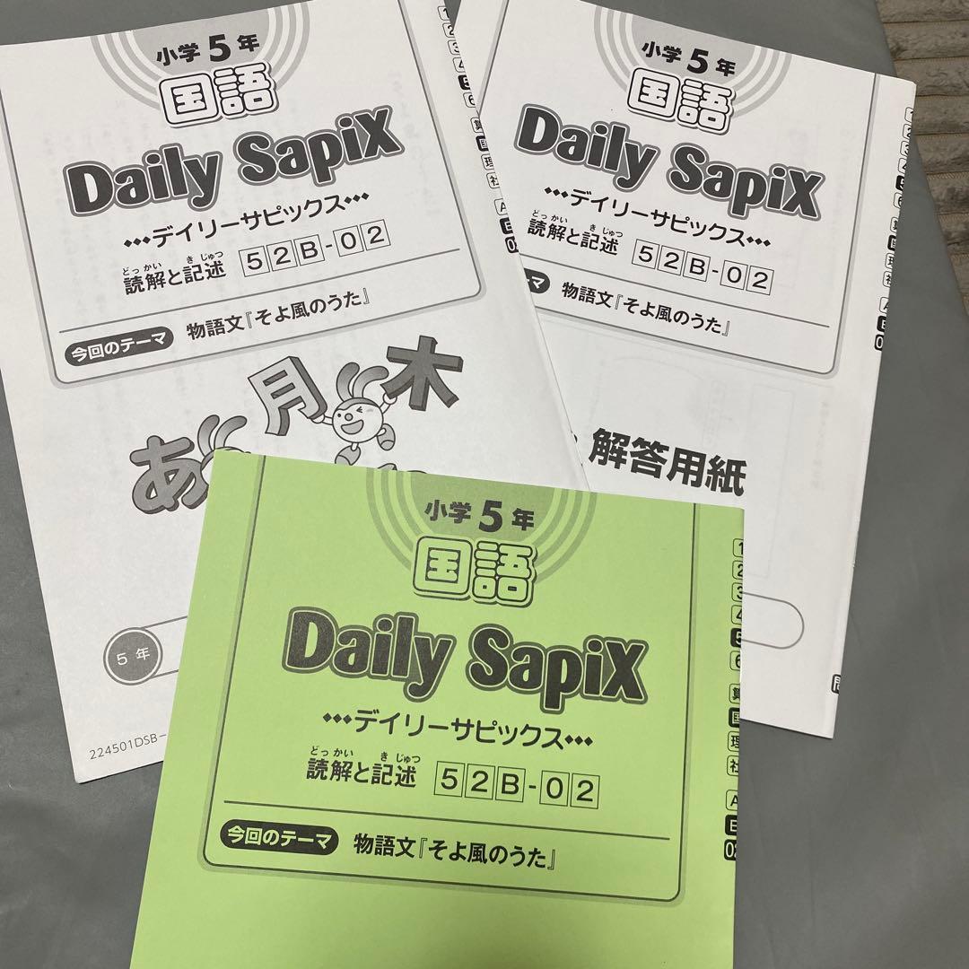 2024年度版 国語読解 デイリーサピックス &スプリングSAPIX5年生