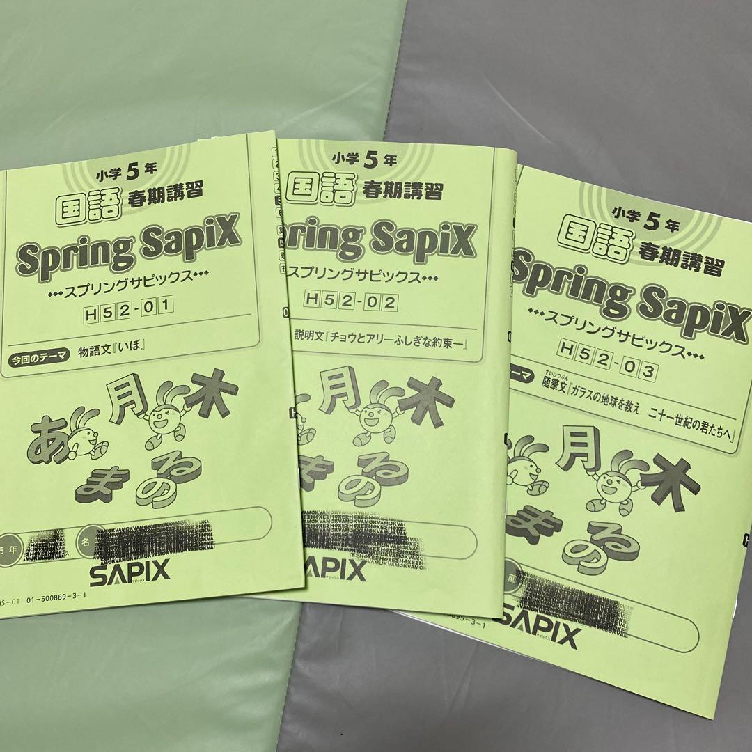 2024年度版 国語読解 デイリーサピックス &スプリングSAPIX5年生