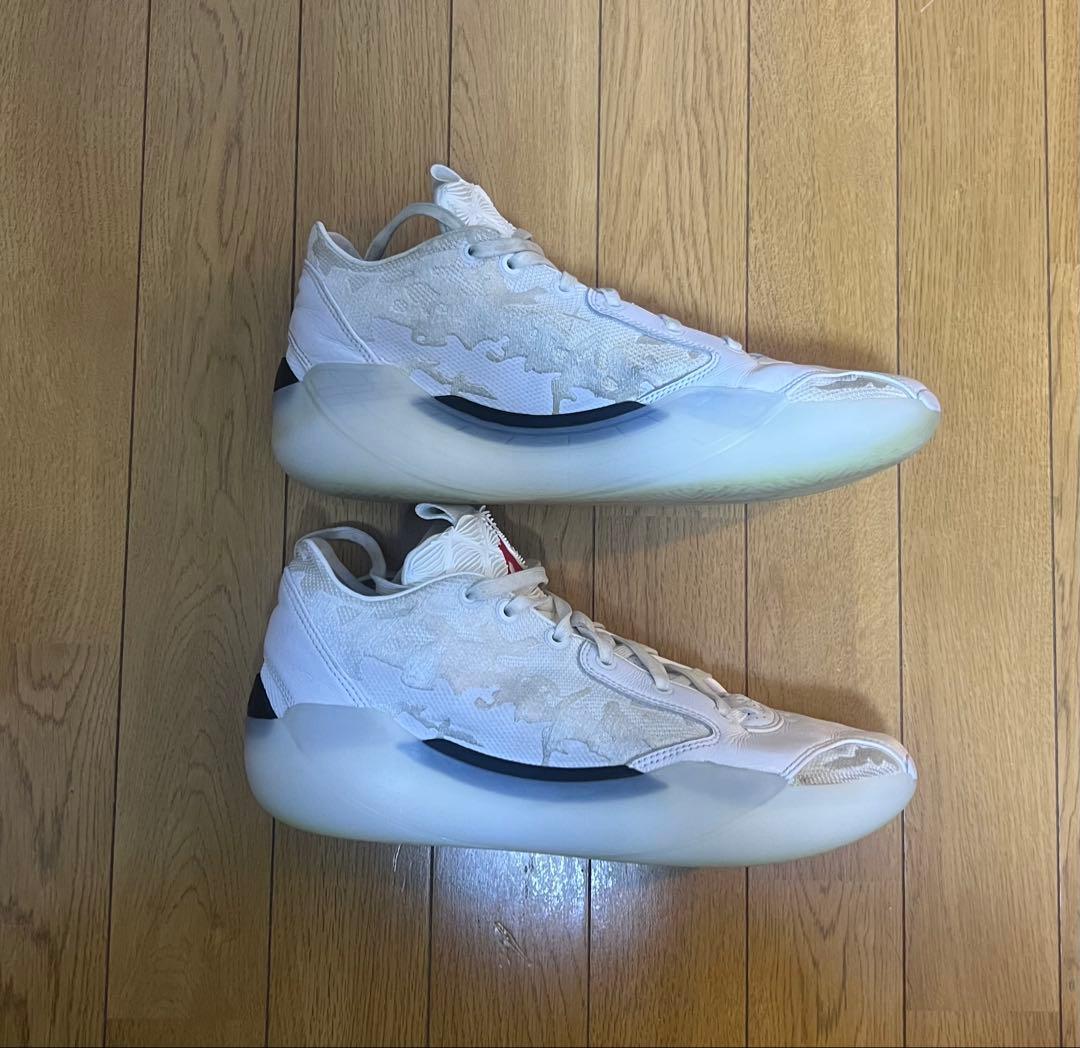 Air Jordan エアジョーダン 39 28.5cm