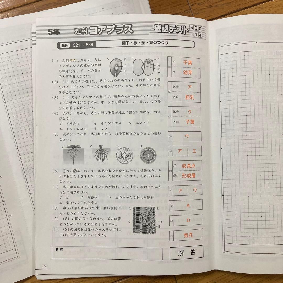 完全】SAPIX5年 理科テキスト1年分：ポイントチェック・デイリー