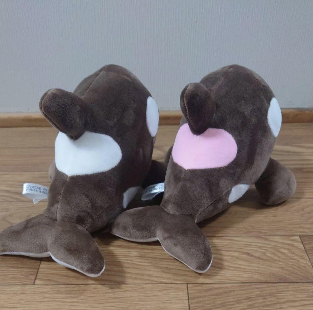 須磨シーワールド シャチ オルカくじ 新色 ショコラデュオカラー 4等