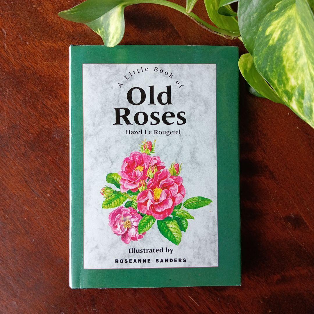 洋書古書 中世からの古いバラ 歴史と栽培 ボタニカルアート 画集 植物