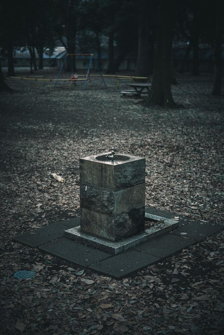 虹色シャワー！東京光学 Topcor 50mm F3.5 オールドレンズ - メルカリ