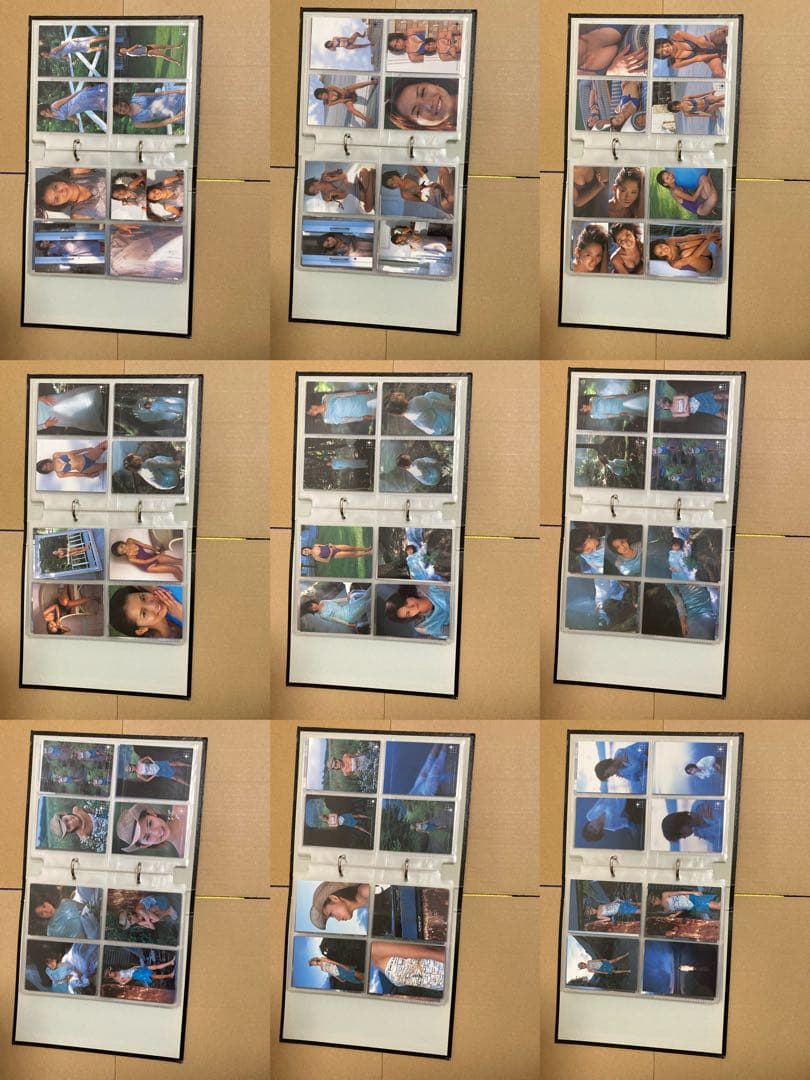 【タマちゃんさん専用】市川由衣　トレカ　DVD等