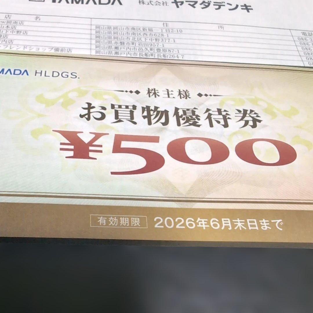 ヤマダ電機 株主優待 50枚 25000円分 - メルカリ
