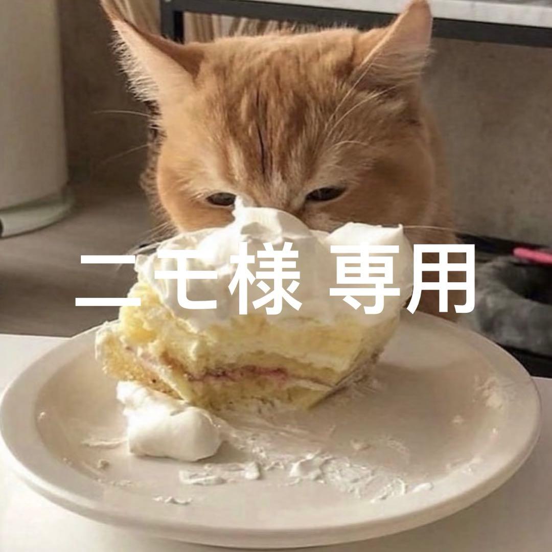 ニモ TOMICA NISMO 2002 JGTC Castrol PITWORKS XANAVI NISSAN SKYLINE GT-R