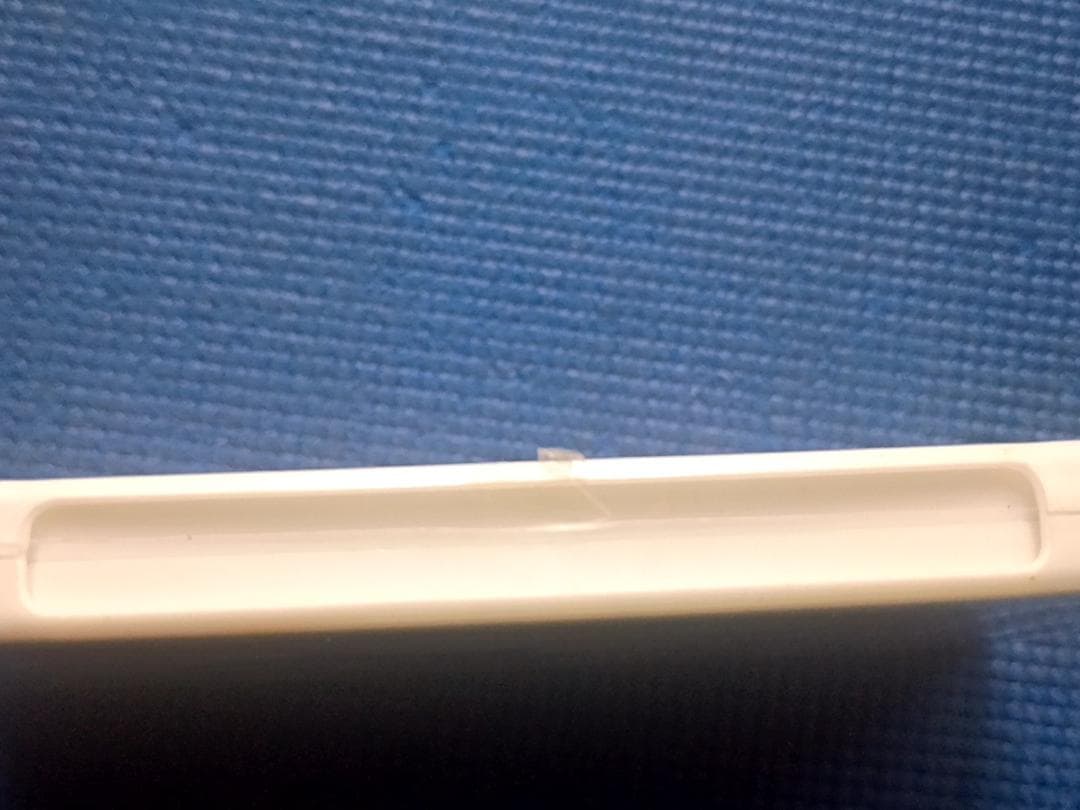 未開封　DVD 乙女の祈り シュリンク破れ有り メラニー・リンスキー