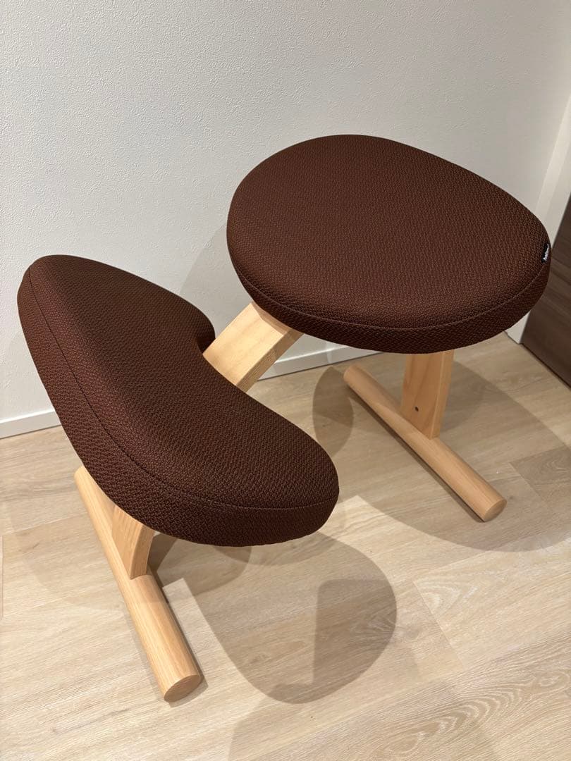 極美品・2024年12月購入】バランスイージー 通常フレーム - メルカリ