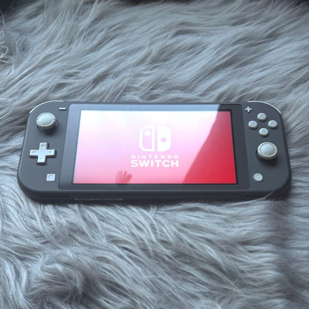 Nintendo Switch Lite 本体 グレー（※訳あり） Nintendo Switch Lite グレー 任天堂 Switch本体 ※量販店舗印付の場合