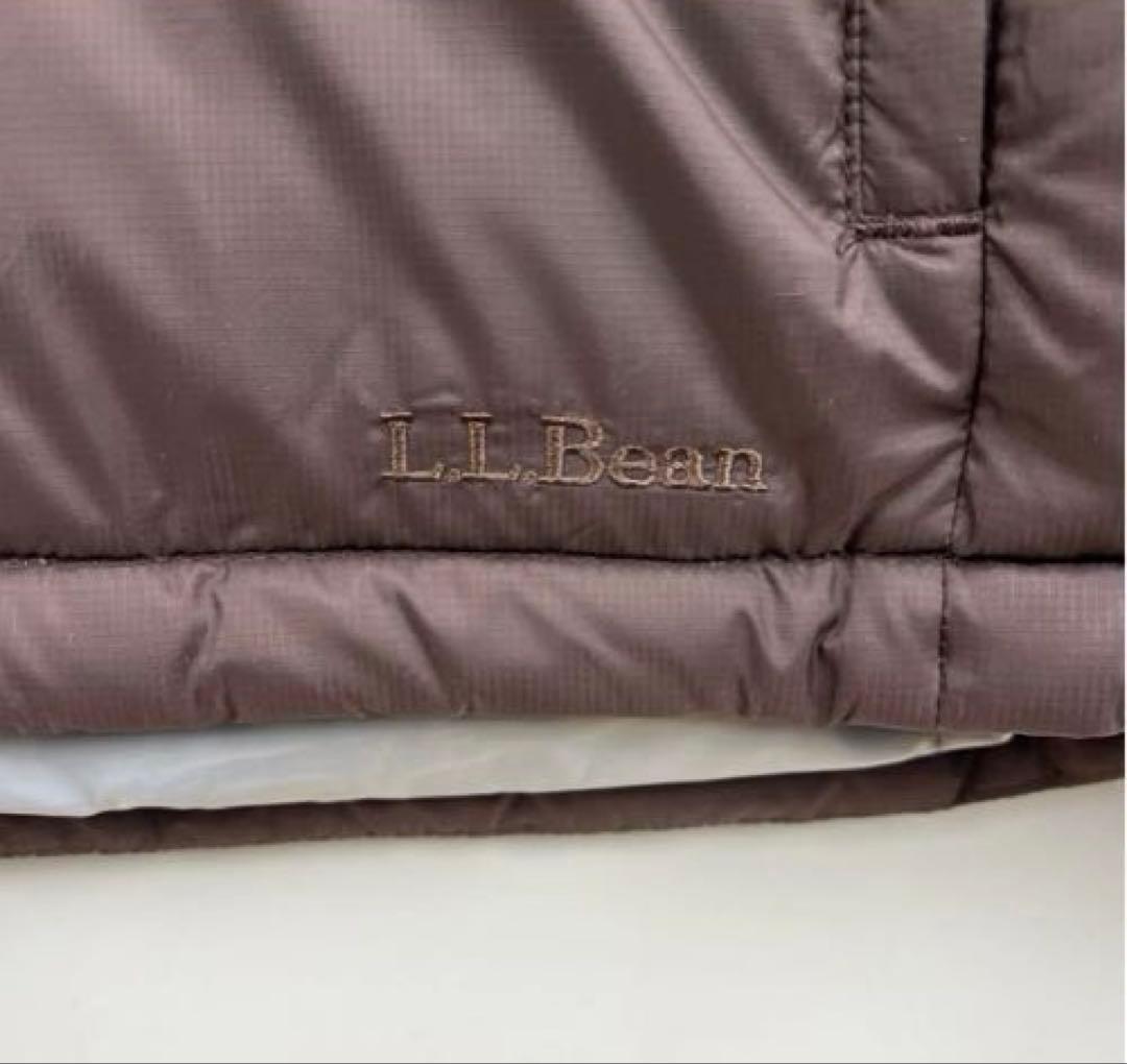 L.L.Bean 00s グースダウンジャケット L ブラウン　希少カラー