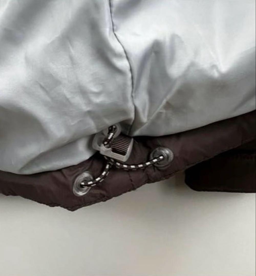 L.L.Bean 00s グースダウンジャケット L ブラウン　希少カラー