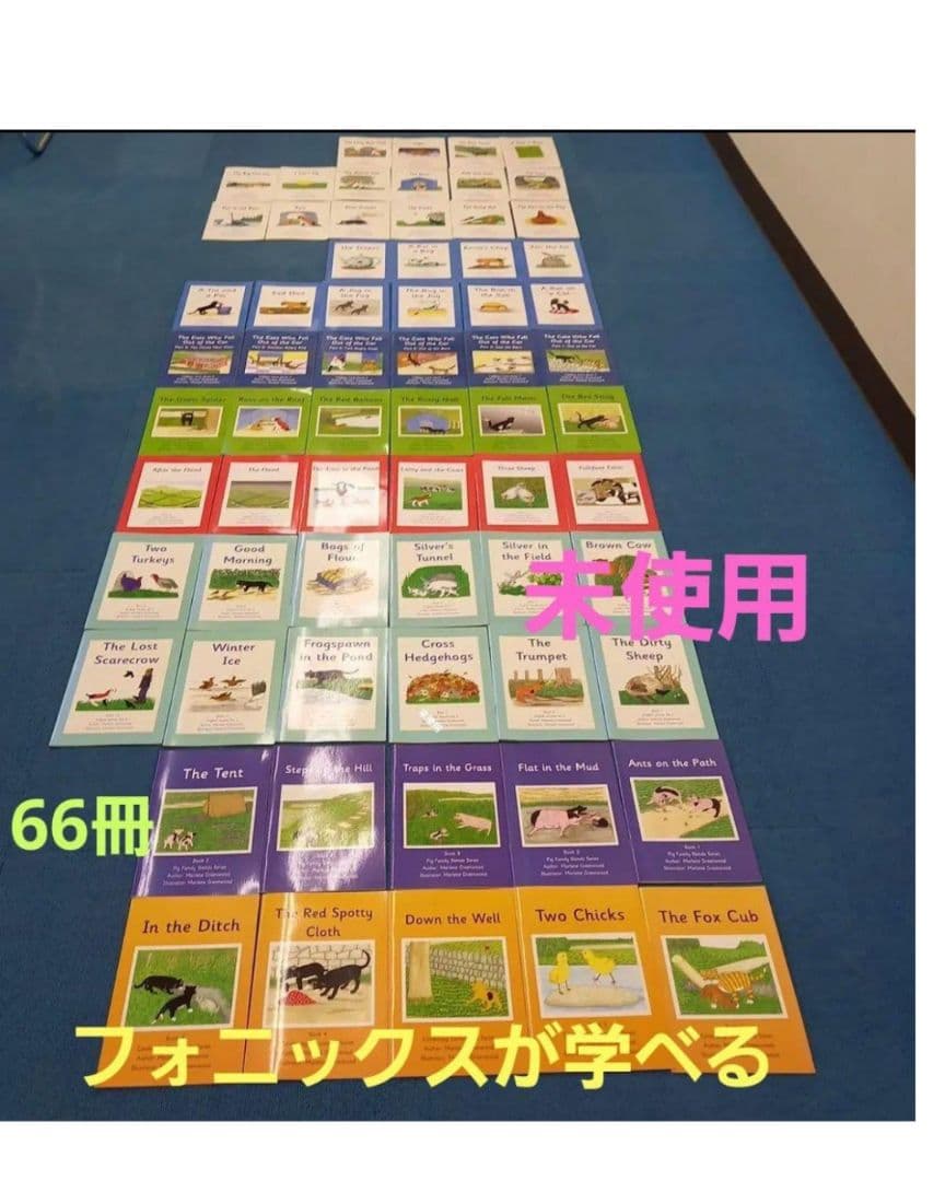 英語絵本　66冊 Scholastic The Magic School Bus ベストセレクション 英語絵本6冊BOX