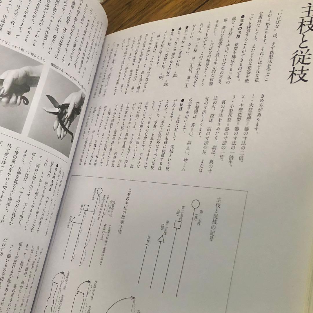 小さないけばな 春夏秋冬 全4巻セット 勅使河原霞