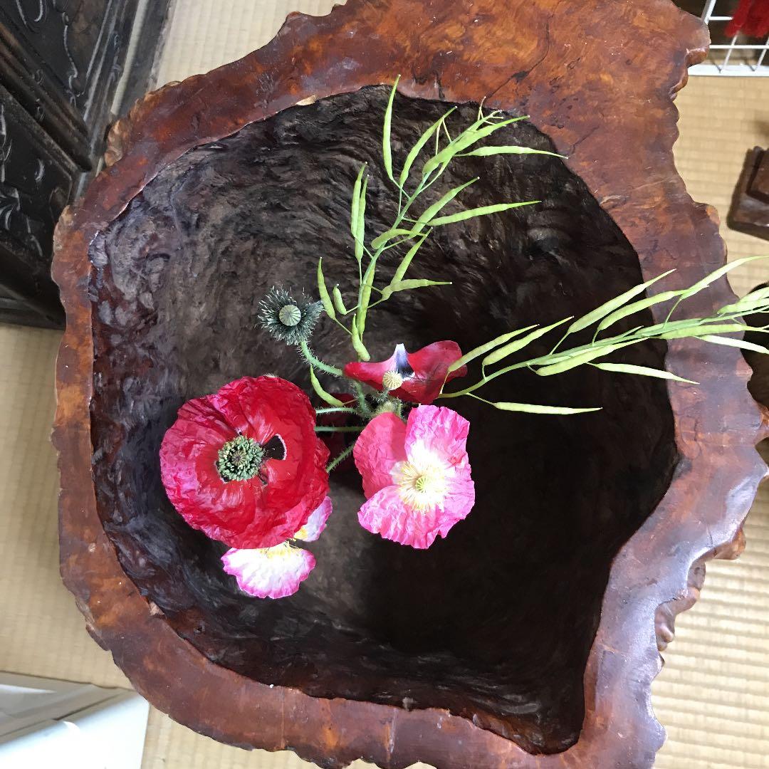 木の根 インテリア  掛軸いれなど 掛け軸「竹林虎」 白木加葉 半切立 サイズ:190×47cm 掛け軸 年中掛け