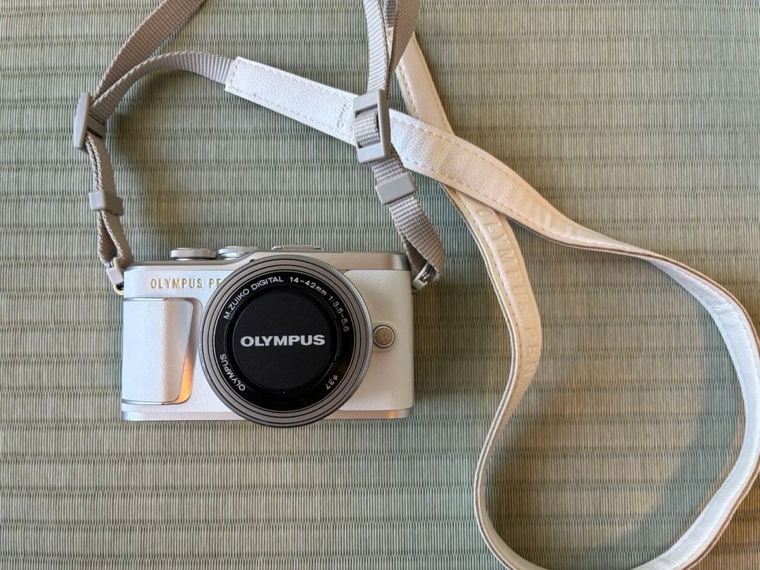 値下げ　OLYMPUS PEN E-PL9 美品 付属品多数 シャッター少 OLYMPUS PEN E-PL9 (Mirrorless Interchangeable-lens Camera