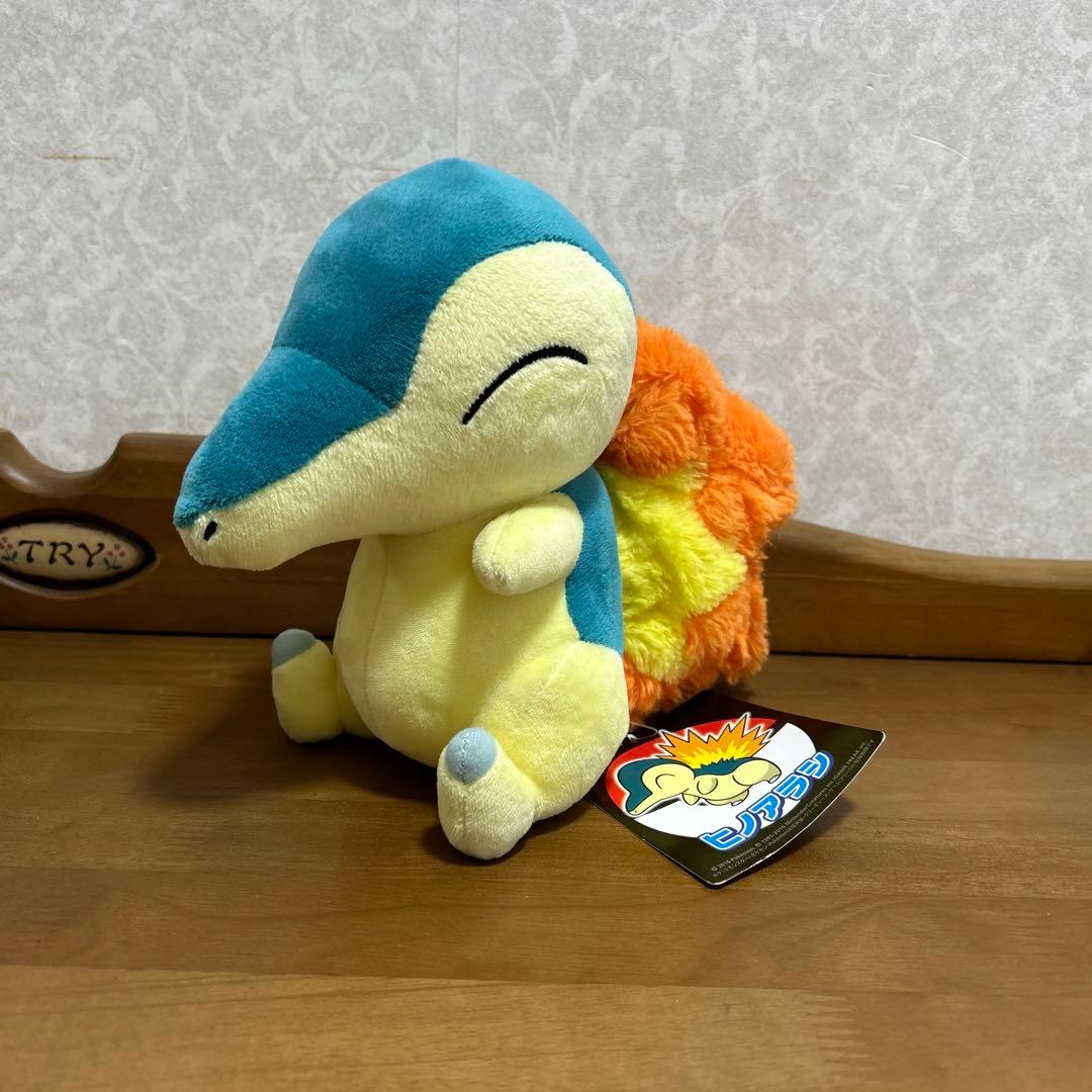 ポケモン ポケセン ポケモンセンター ぬいぐるみ ヒノアラシ