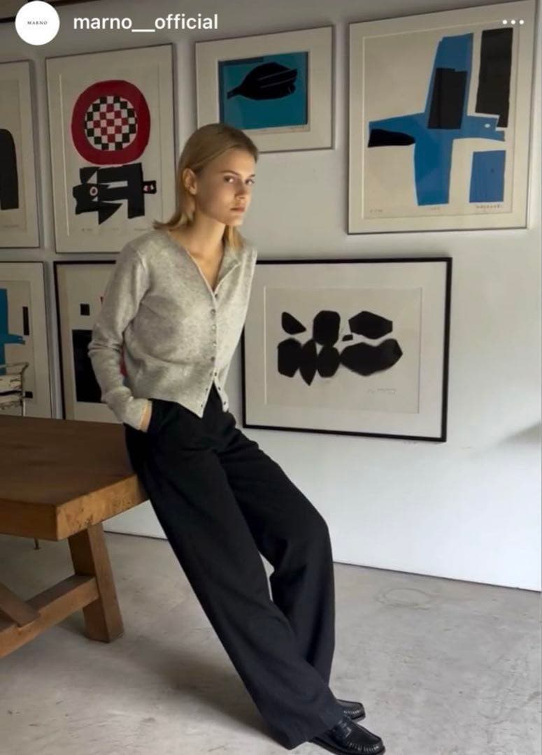 期間限定】新品未使用タグ付MARNO Emilie cardigan 丸林広奈 - メルカリ