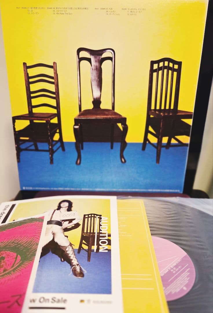 サイン入り!フライヤー付き!ドレスコーズ オーディション インサート