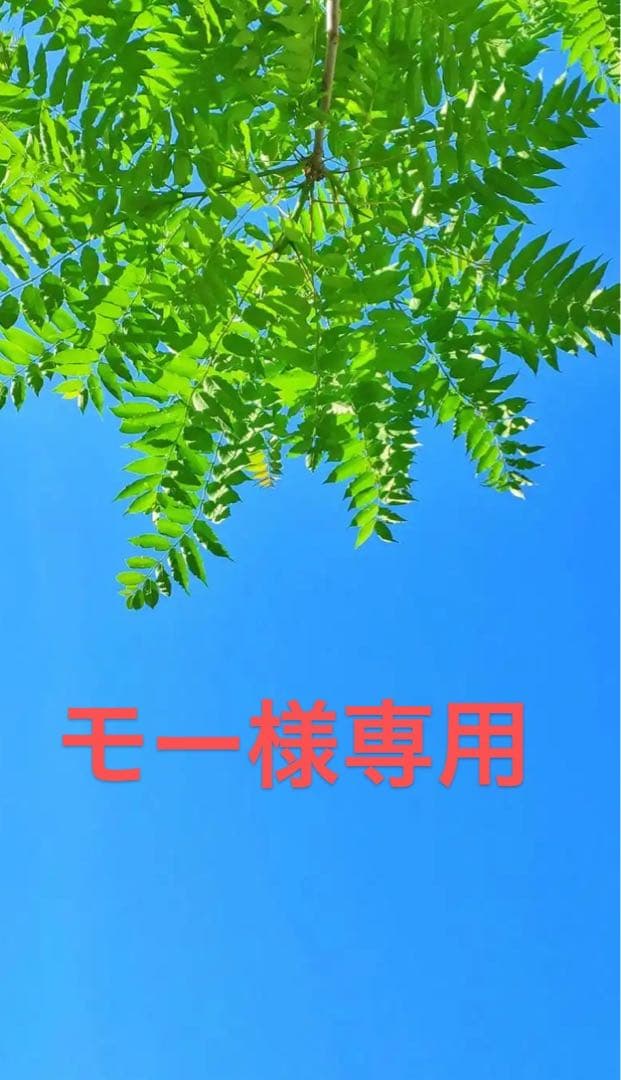 モーページ スリッパ サイズ37 zxslipper888.jpg