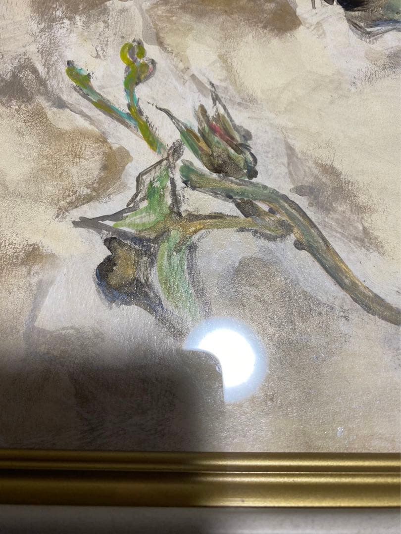 杉山寧 「朝顔」 額 箱有 絵画 日本画 引取品 - メルカリ