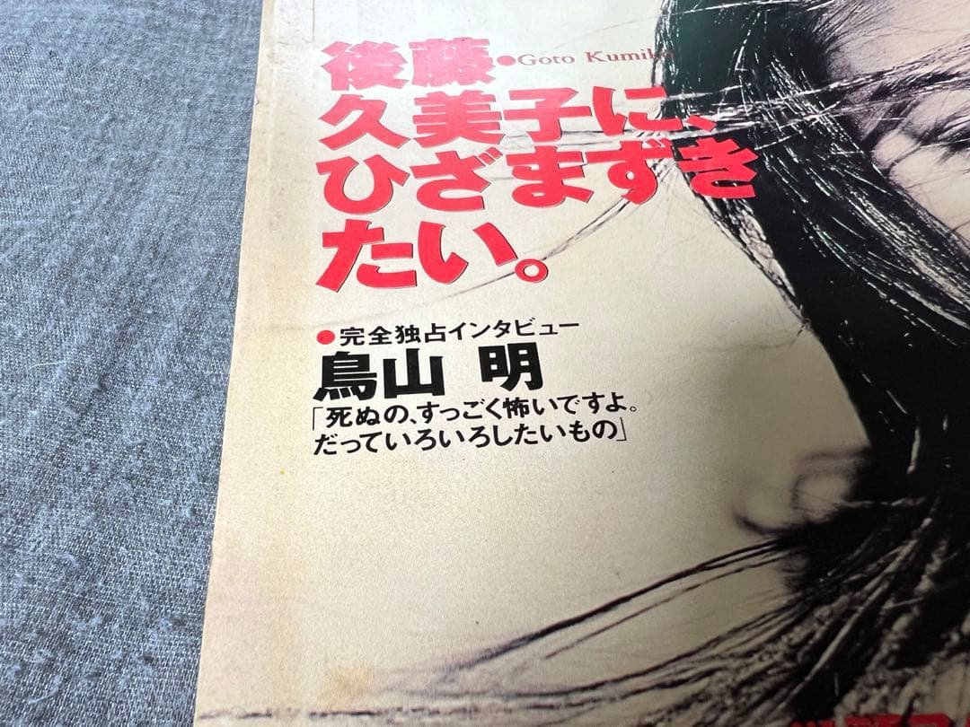 伝説【鳥山先生死生観】週刊プレイボーイ 1995 No.5【ビビアンスー】美神話