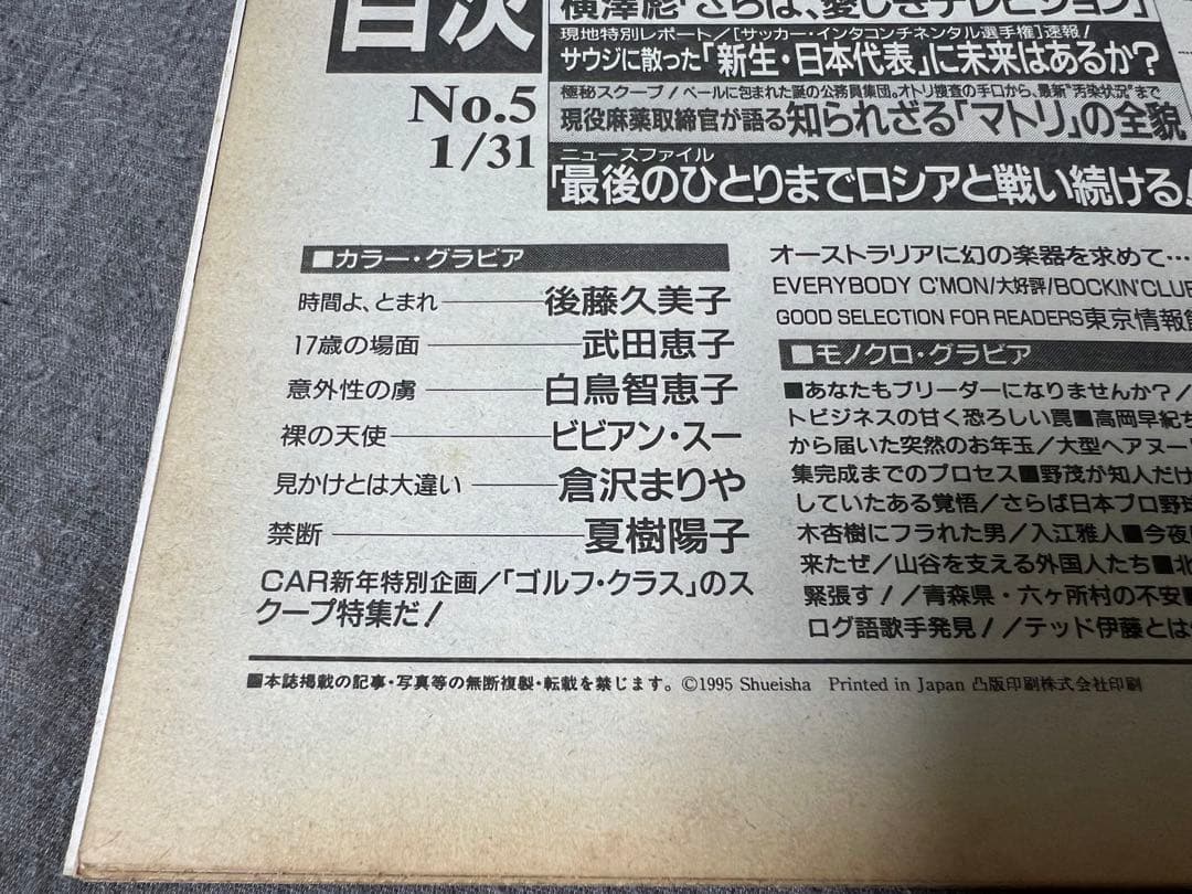 伝説【鳥山先生死生観】週刊プレイボーイ 1995 No.5【ビビアンスー】美神話