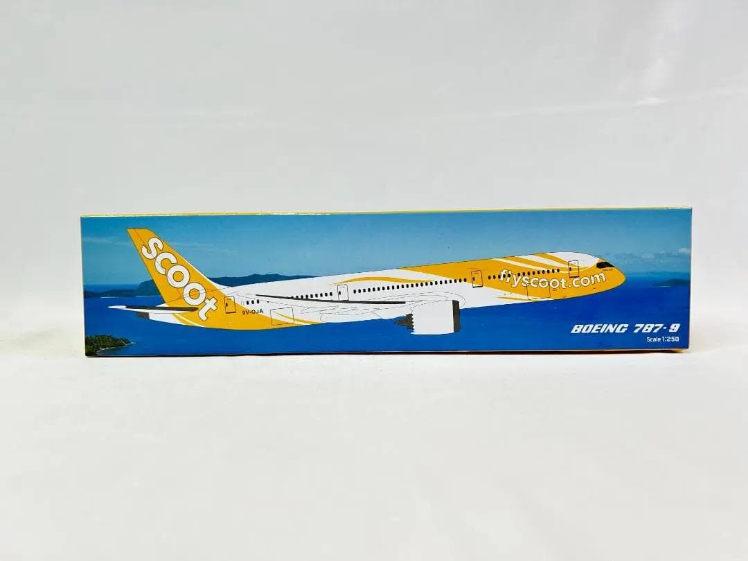PPC Holland FLY Scootスクート航空 B787-9 1/250 - メルカリ