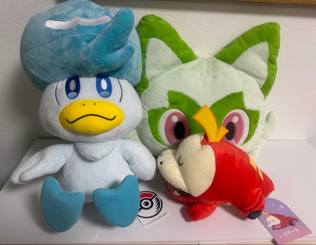 ポケモン　ピカピカボックス2023 ホゲータ 初夢　クワッス　ニャオハ ピカピカボックス2023」が登場！｜ポケットモンスターオフィシャルサイト