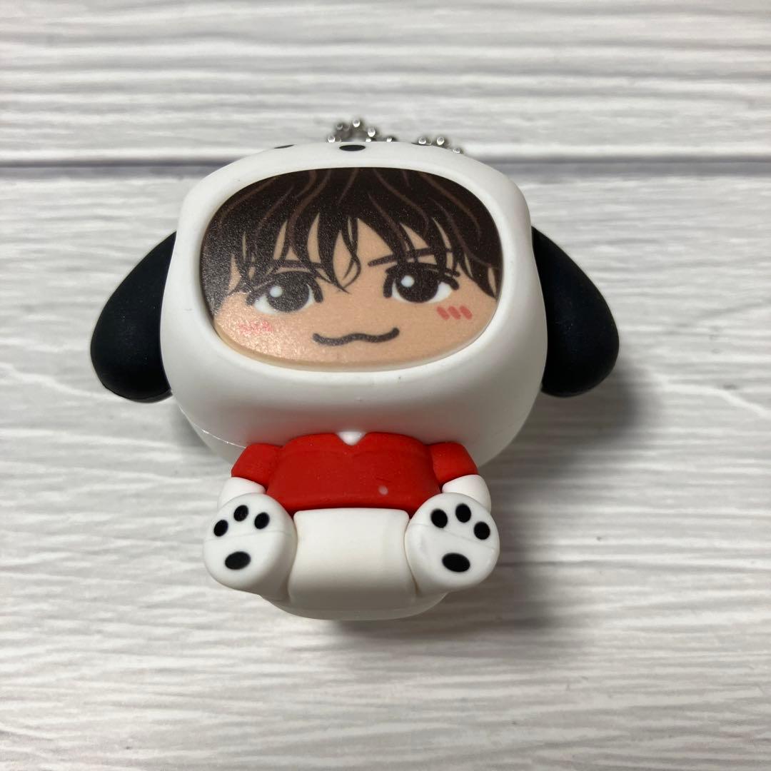 三代目J SOUL BROTHERS♥️岩田剛典 着ぐるみキーホルダー10点セット