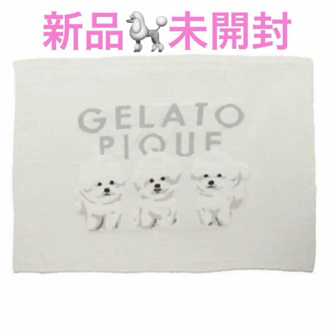新品 ビションフリーゼ モチーフジャガードブランケット ジェラートピケ ビションフリーゼ モチーフジャガードブランケット