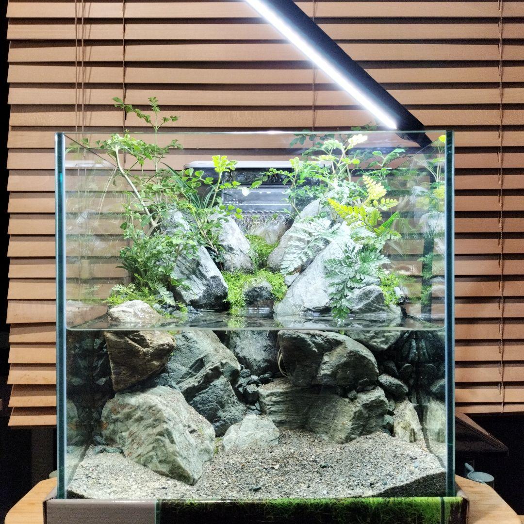 アクアテラリウム完成品】渓流アクアリウム＋テラリウム30cmキューブ