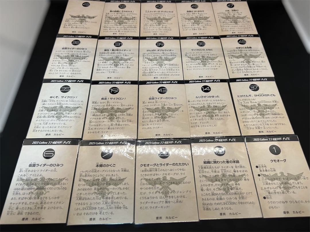 ひ*る様 S.H.Figuarts 仮面ライダー第2号 サイクロン号 チップスカ