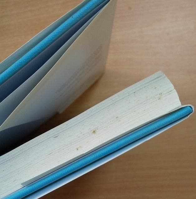 Bridget Riley Paul Moorhouse Tate