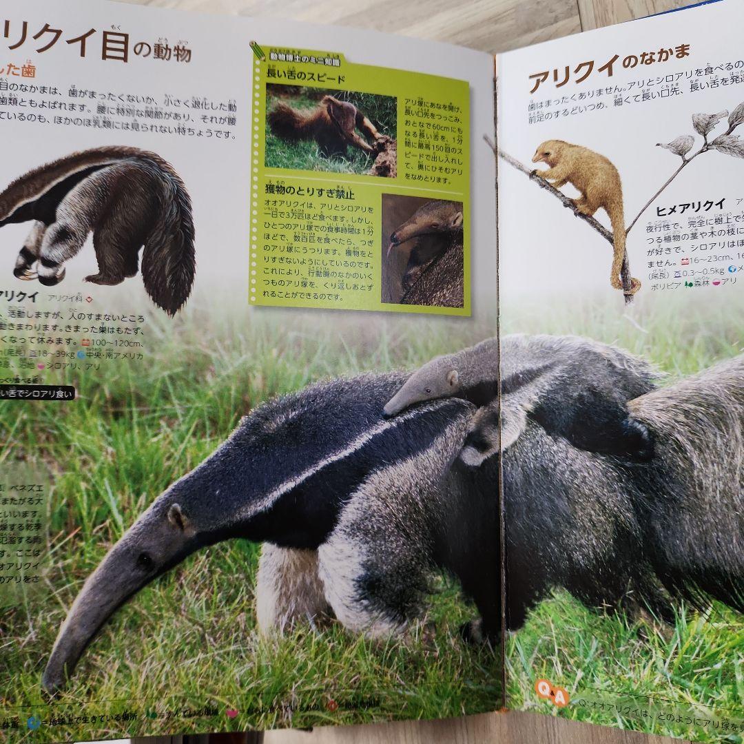 生き物のふしぎ 動物のふしぎ DVD付き