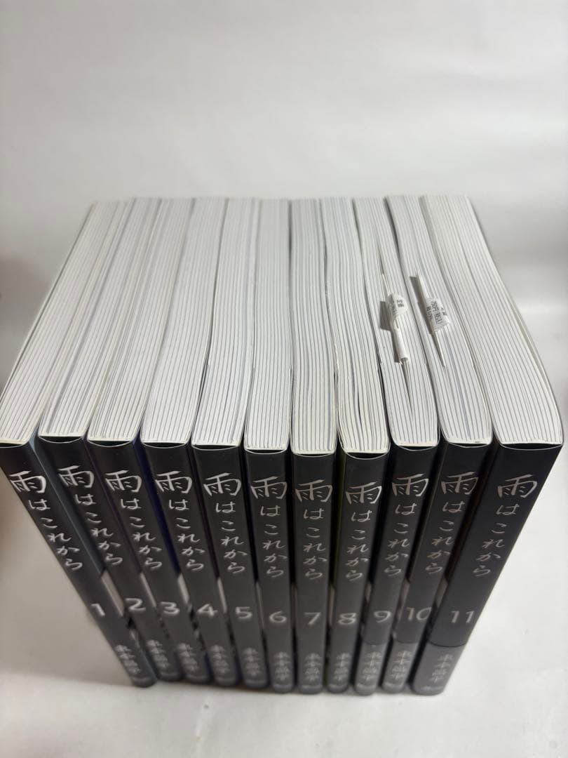 RIDEX 1〜21巻　雨はこれから　1〜11巻　オマケ付き　35冊　まとめ売り