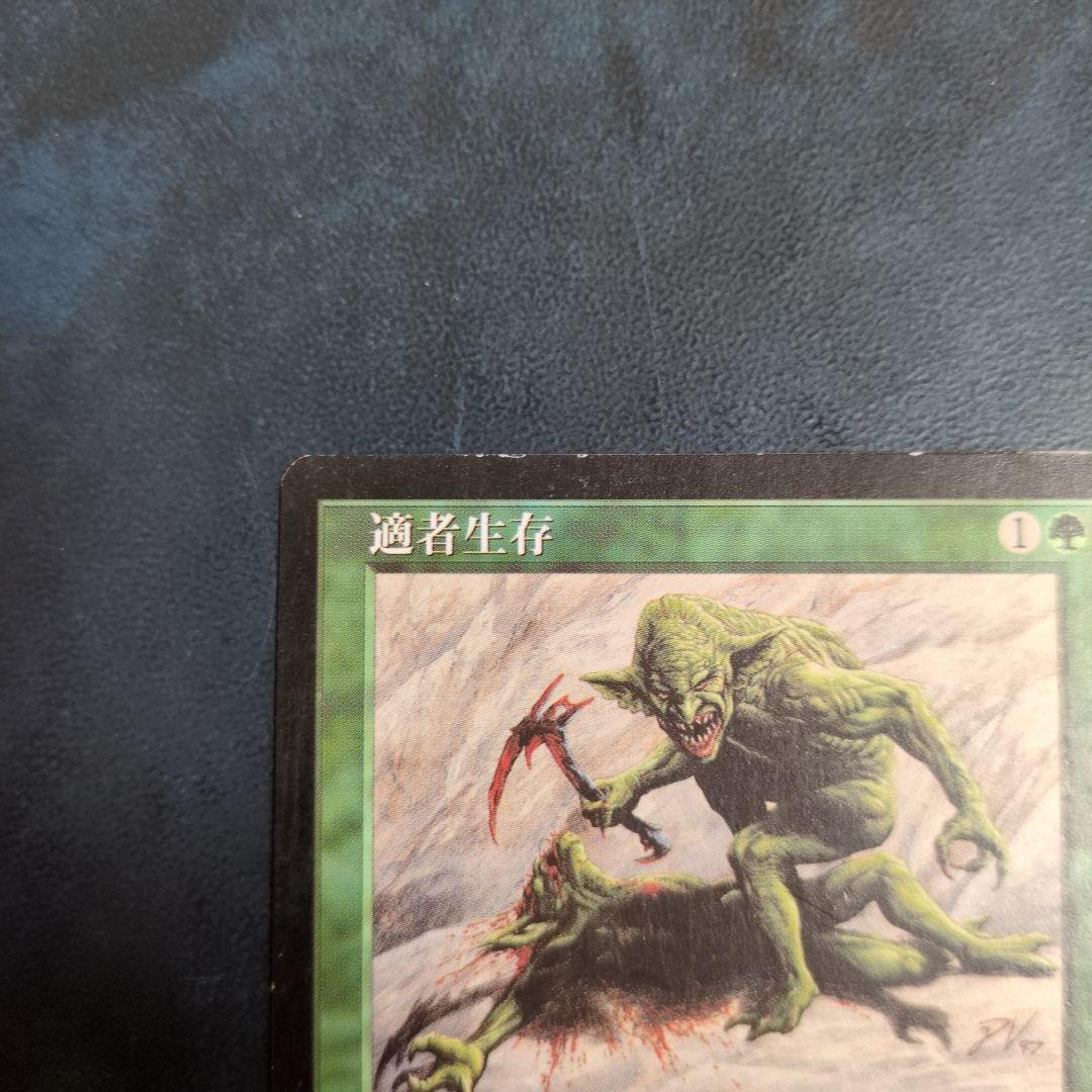 適者生存 - メルカリ