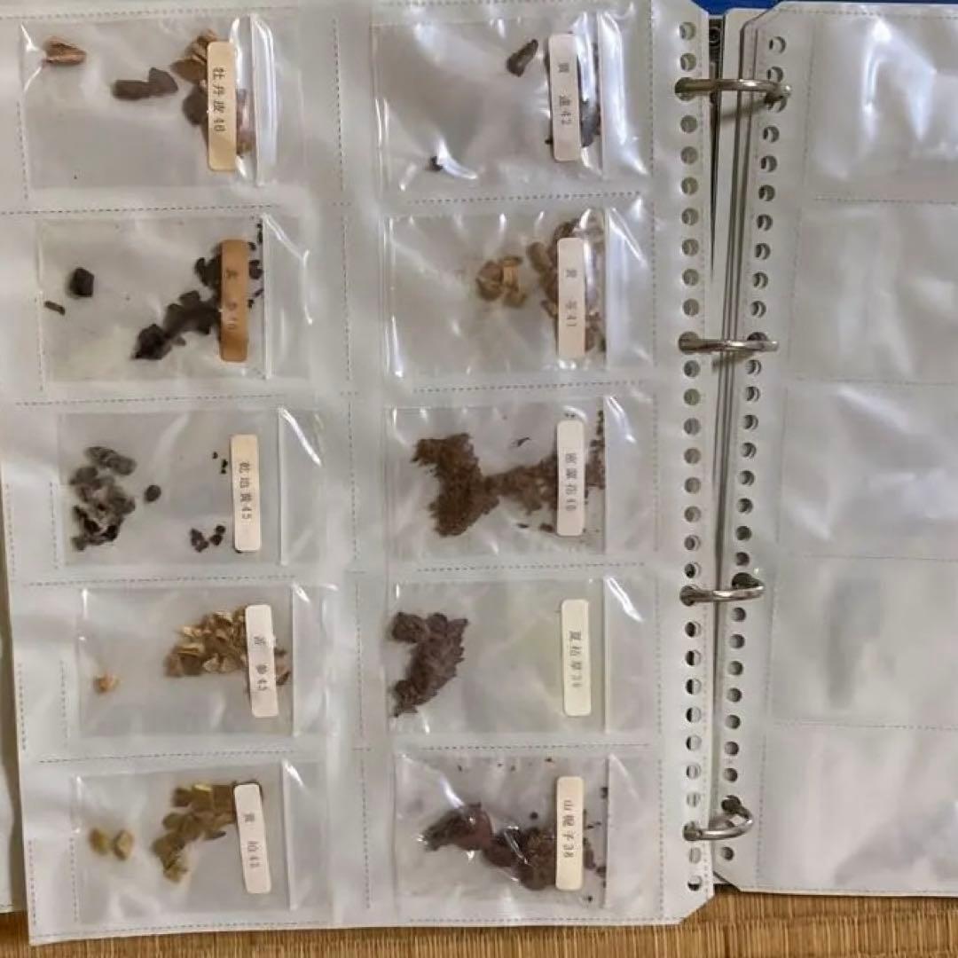 劇レア　中医学　漢方　上海中医薬大学通信教育テキスト　ビデオ　生薬サンプル　貴重