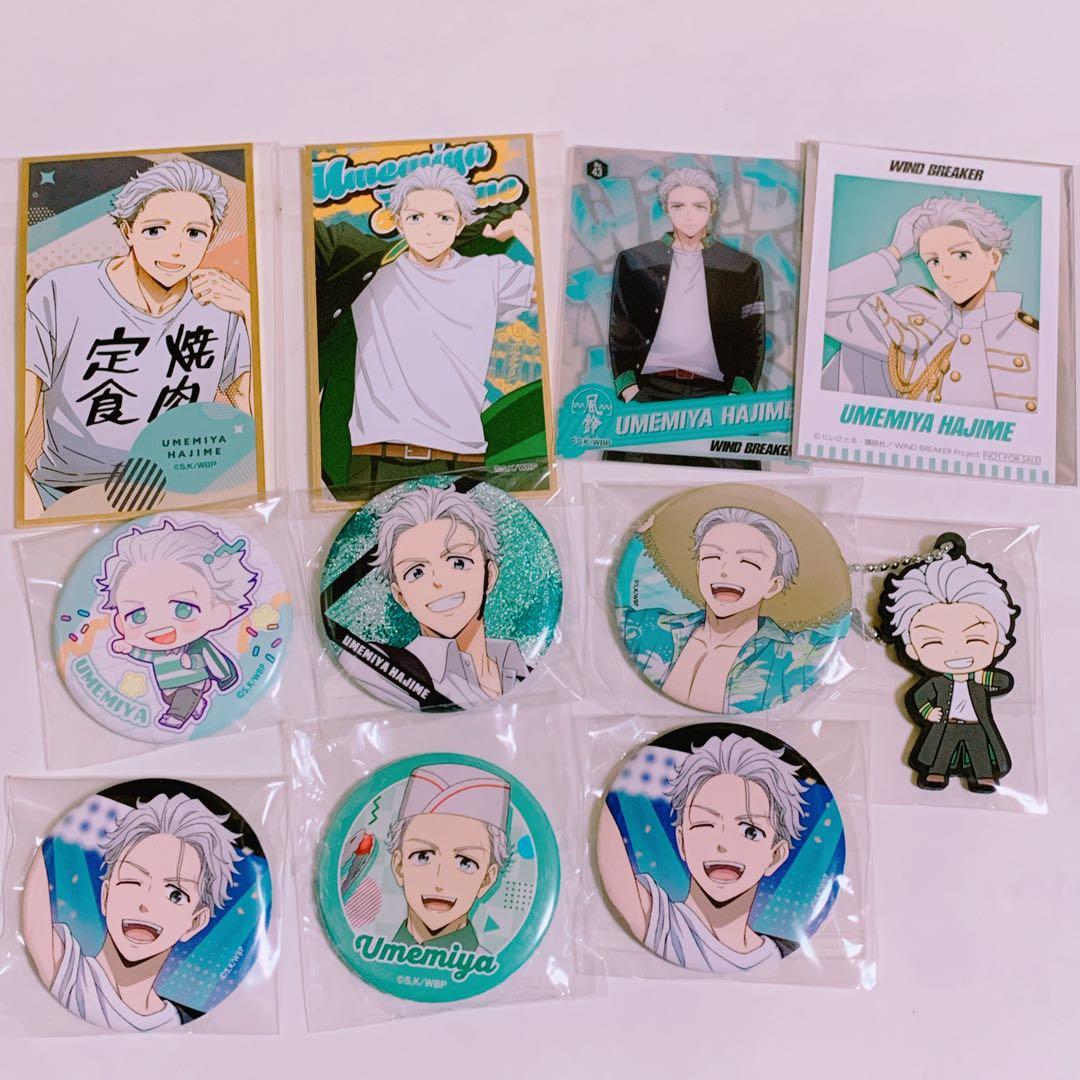 11点 WIND BREAKER 梅宮一 缶バッジ 色紙 カード ウィンブレ - メルカリ