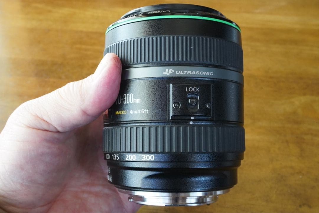 レンズ(単焦点) EF70-300mm F4.5-5.6 DO IS USM