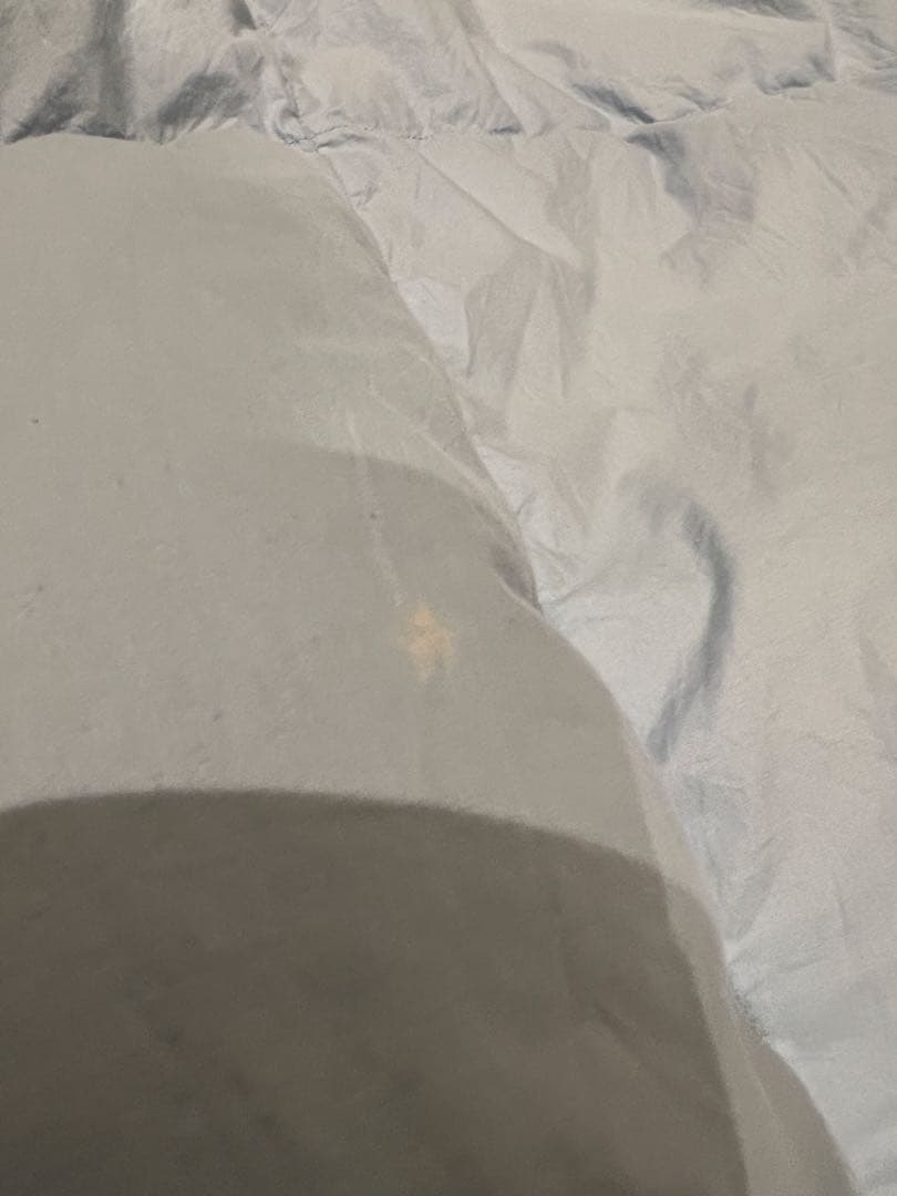 ポーランドグースダウン90% ドイツ製「セダウナ」　シングル 1.1k 軽量