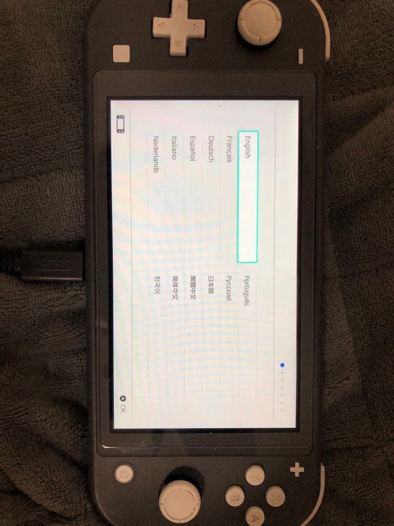 Nintendo Switch Lite グレー 本体 充電器付き - メルカリ