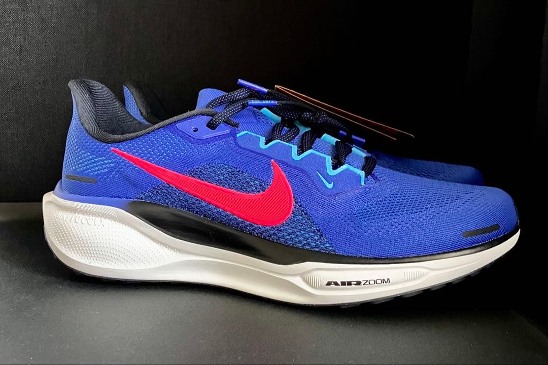 （廃番カラー、完全未使用品）ナイキ エアズーム ペガサス 41 ナイキ PEGASUS 41 エア ズーム ペガサス 41 FD2722-118 メンズ 陸上